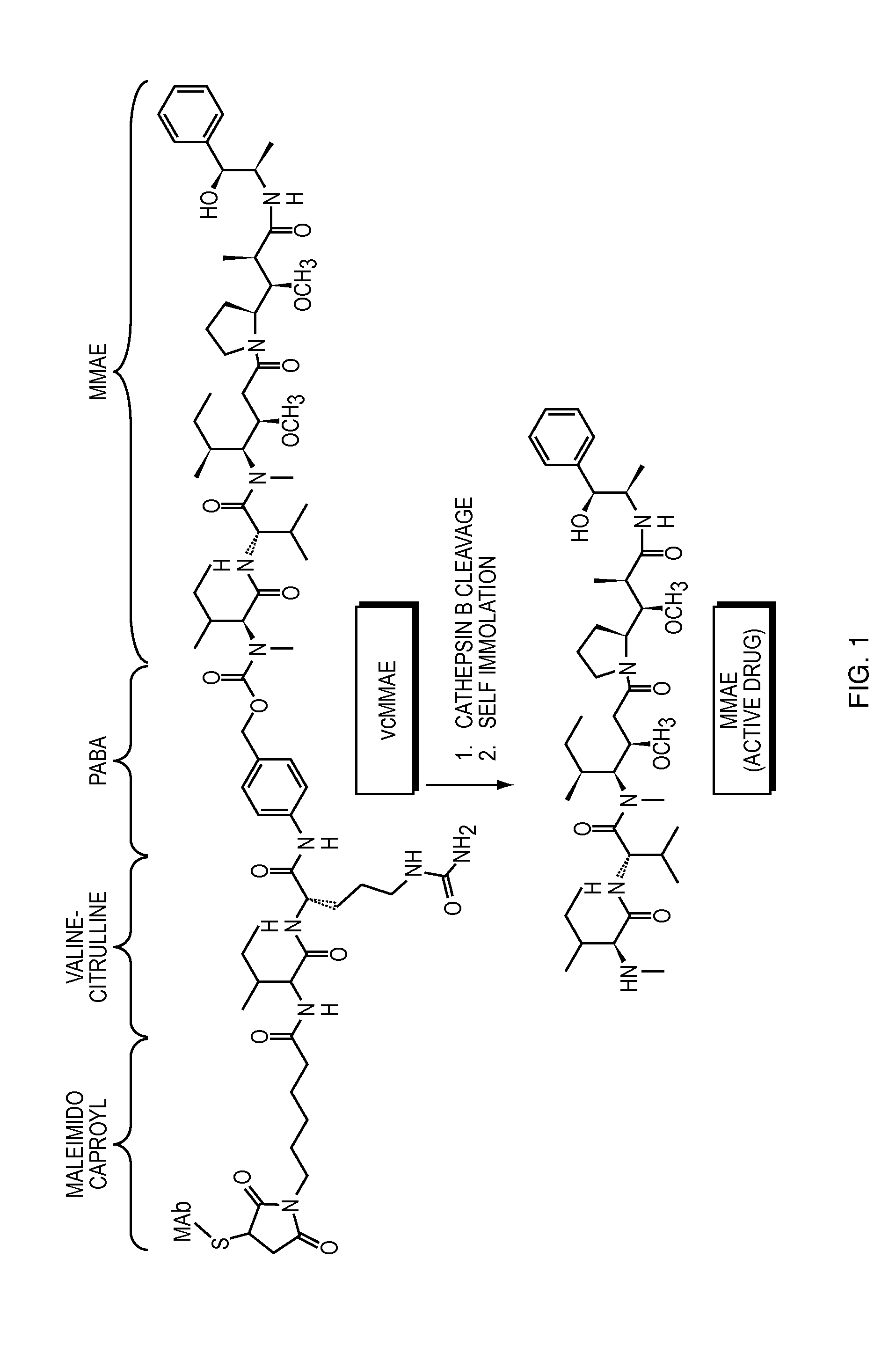 Anti-egfr antibody drug conjugate formulations