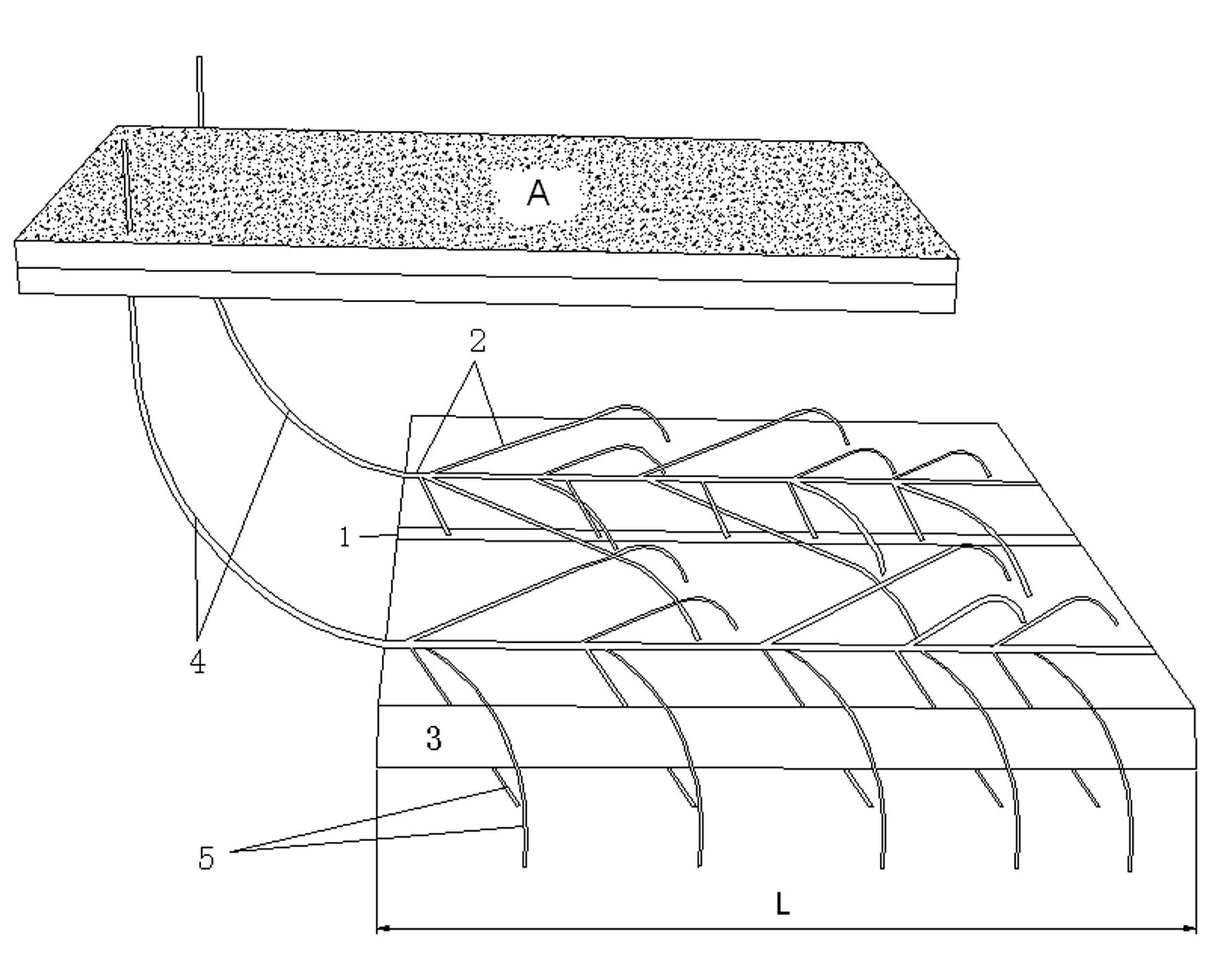 Method for extracting gas from coal seam roof complex branched well