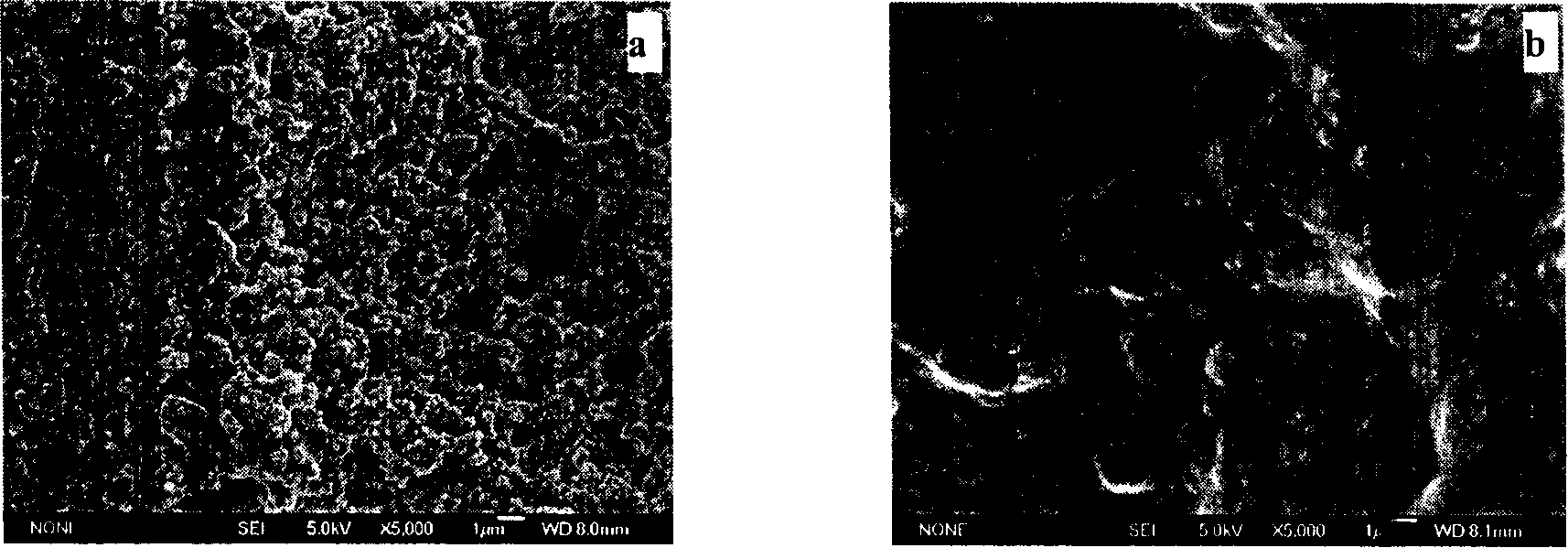 Process for producing composite electrically-conducting paint