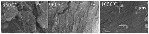 Bone black capable of efficiently oxidizing trivalent arsenic in water and application of bone black