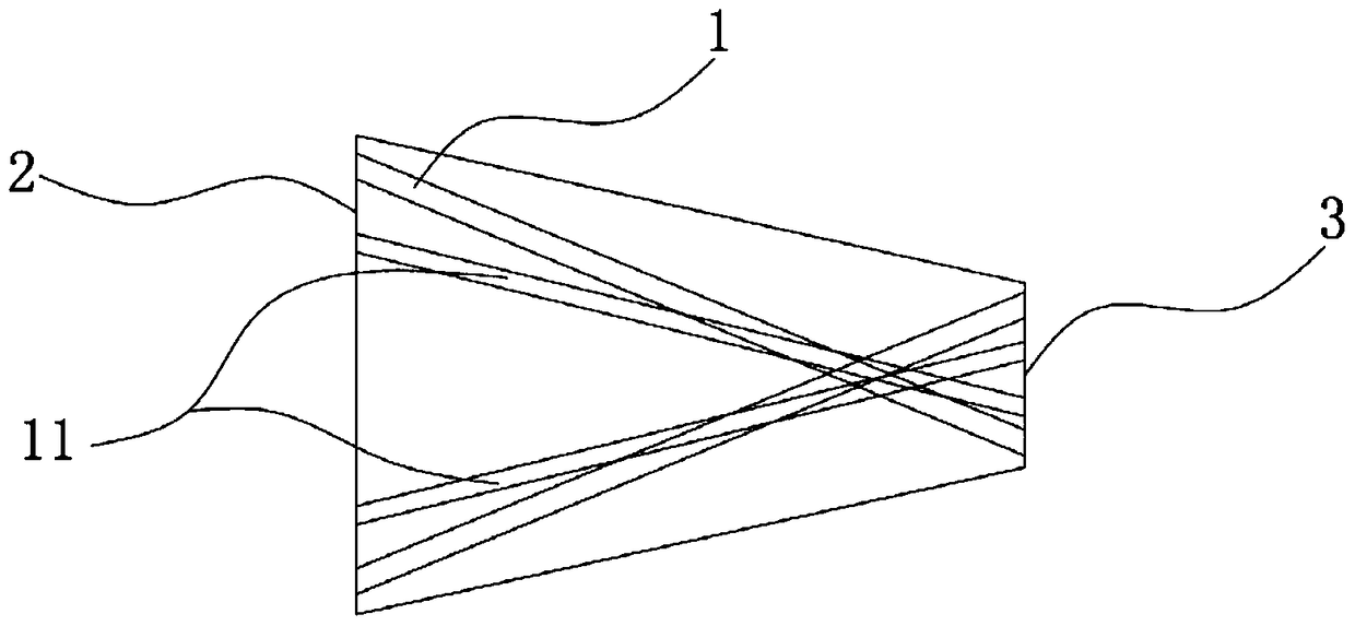 Fiber Taper