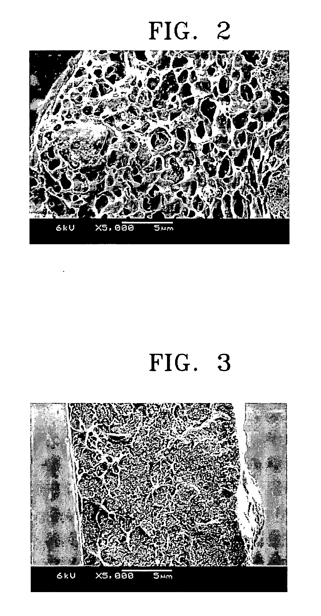 Method of producing nanoparticle-filled phase inversion polymer electrolyte