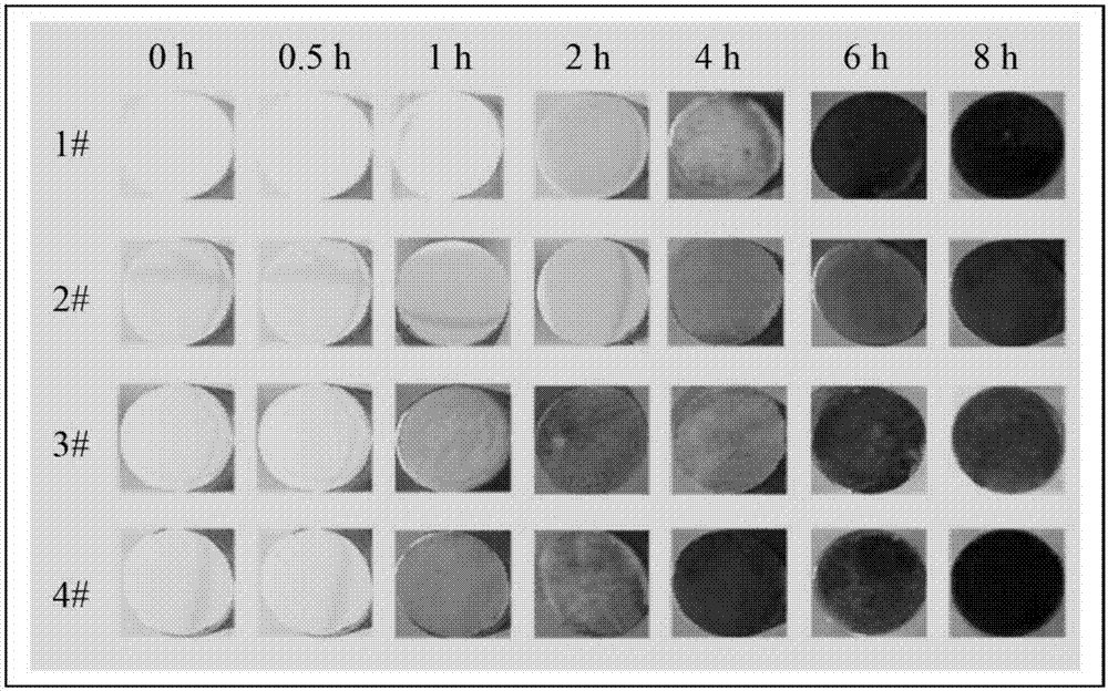 Silver-based alloy target material blank for vacuum magnetron sputtering and preparation method as well as application thereof