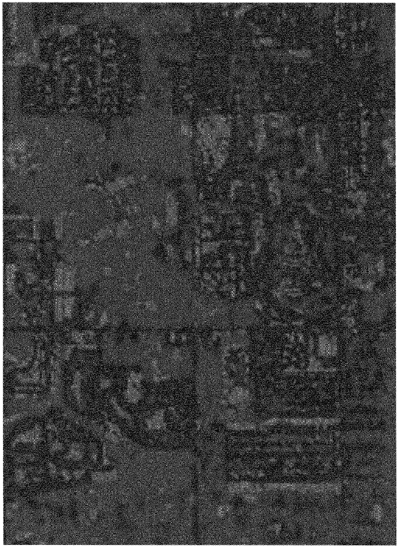 Method for visualization of point cloud data based on scene content