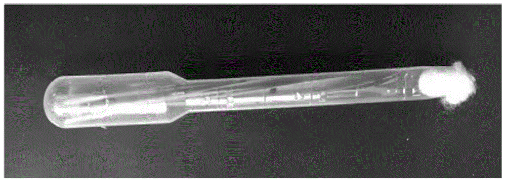 A kind of method for indoor bioassay of wheat aphid