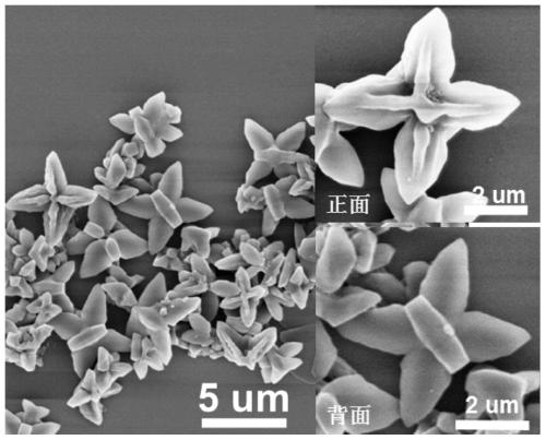 Azafluorene-based small molecule butterfly-shaped organic nanocrystal material and its preparation method and application