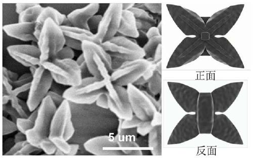 Azafluorene-based small molecule butterfly-shaped organic nanocrystal material and its preparation method and application