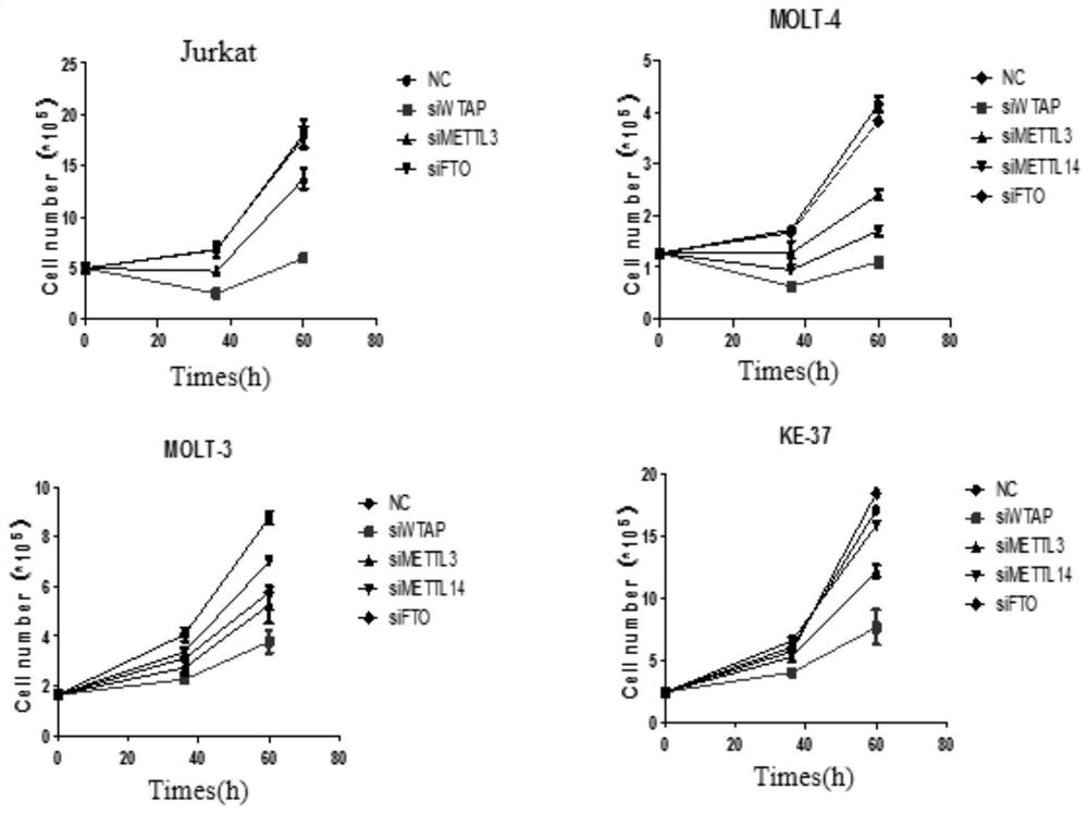 Pharmaceutical composition for treating T-cell acute lymphocytic leukemia