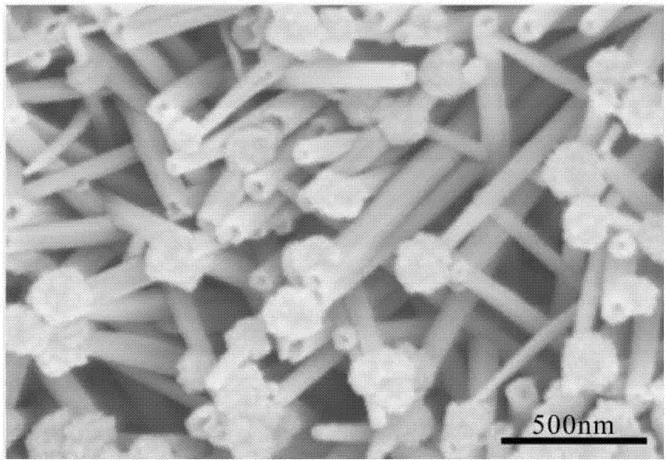 Method for preparation of pharmaceutical adjuvant silica by bipolar membrane electrodialysis