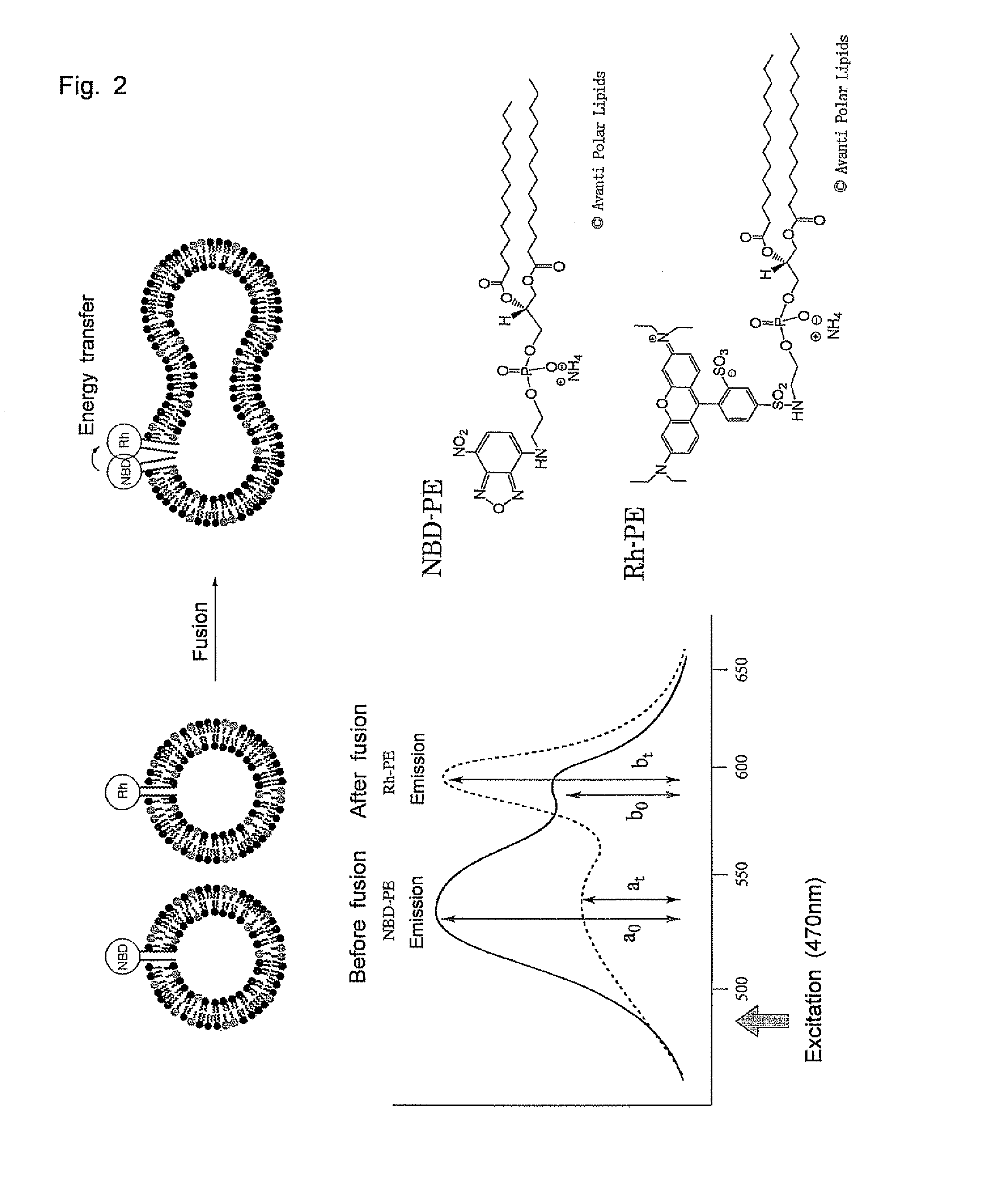 Molecular aggregate capable of undergoing phase transition by dehydrating condensation and method of phase transition thereof