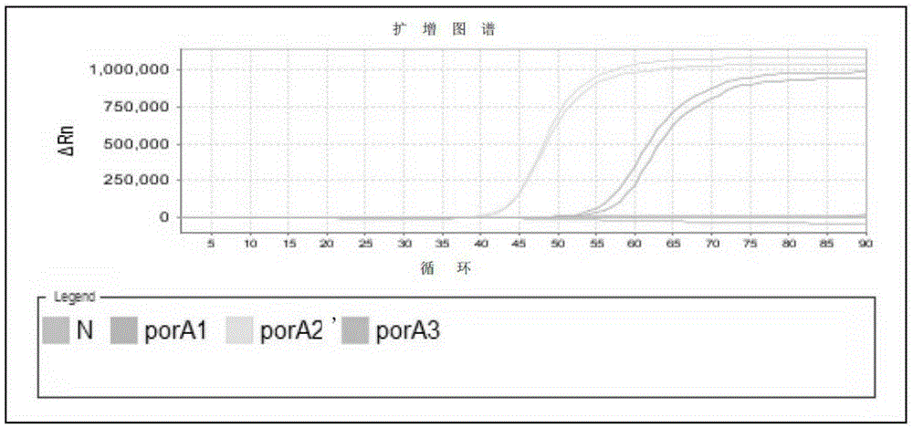 A primer set for detection of Neisseria gonorrhoeae, a kit containing the primer set and its application