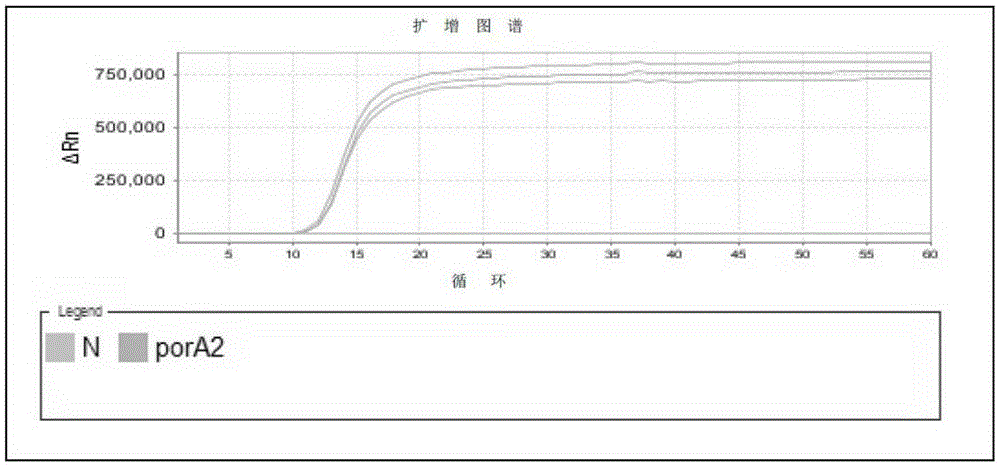 A primer set for detection of Neisseria gonorrhoeae, a kit containing the primer set and its application