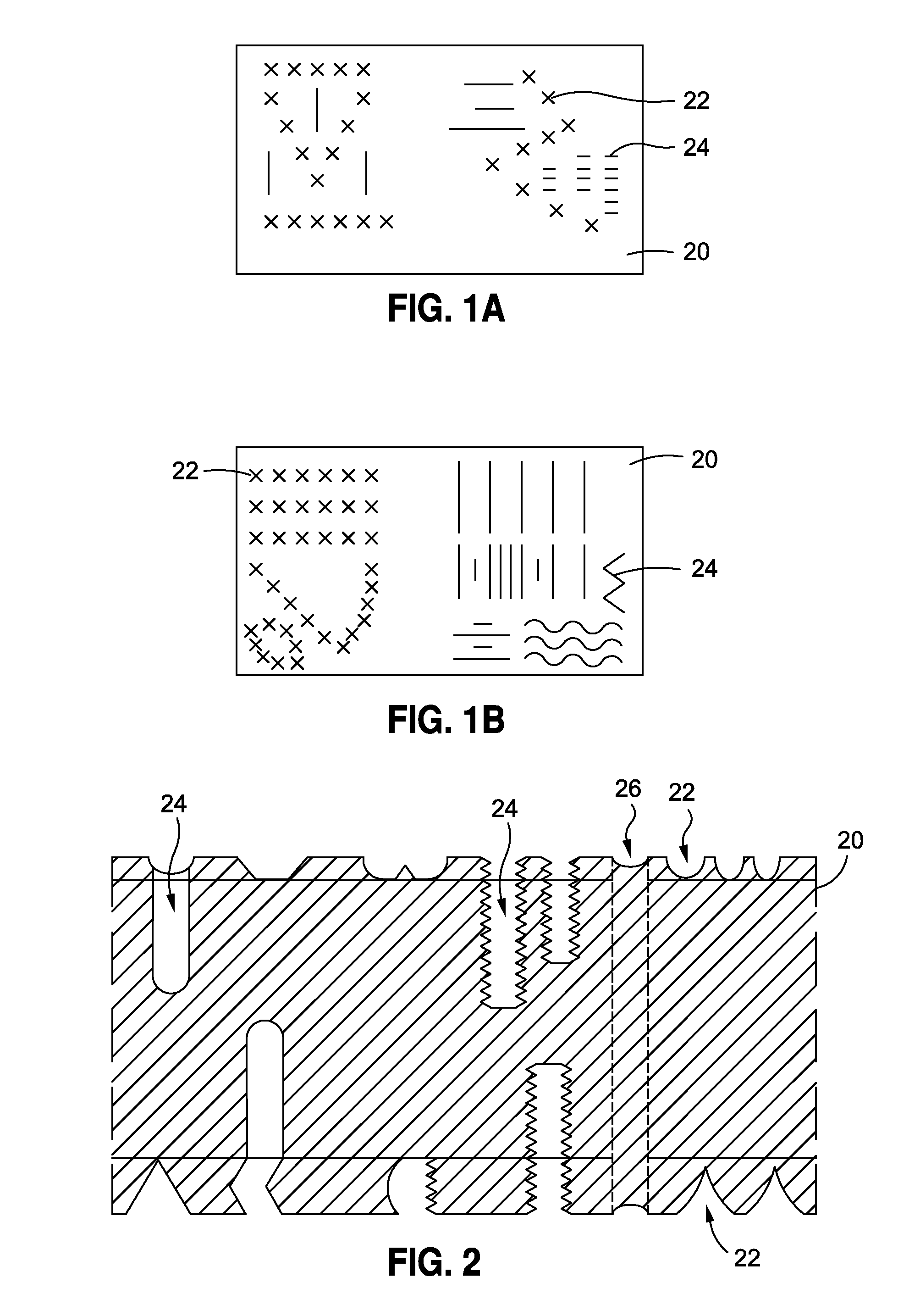 Method and apparatus for a process creating an internal tissue graft for animal and human reconstructive purposes