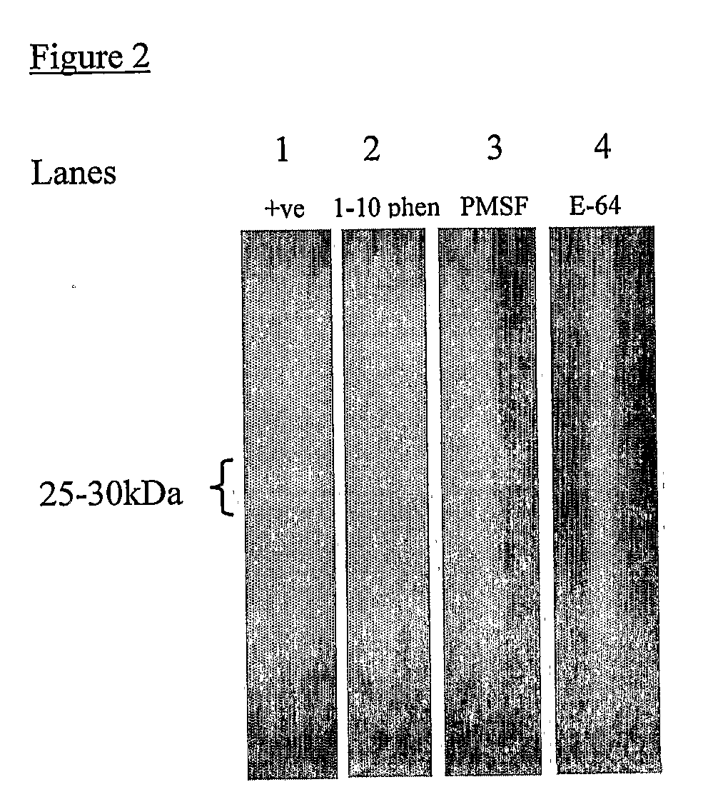 Methods and compositions for controlling ectoparasites