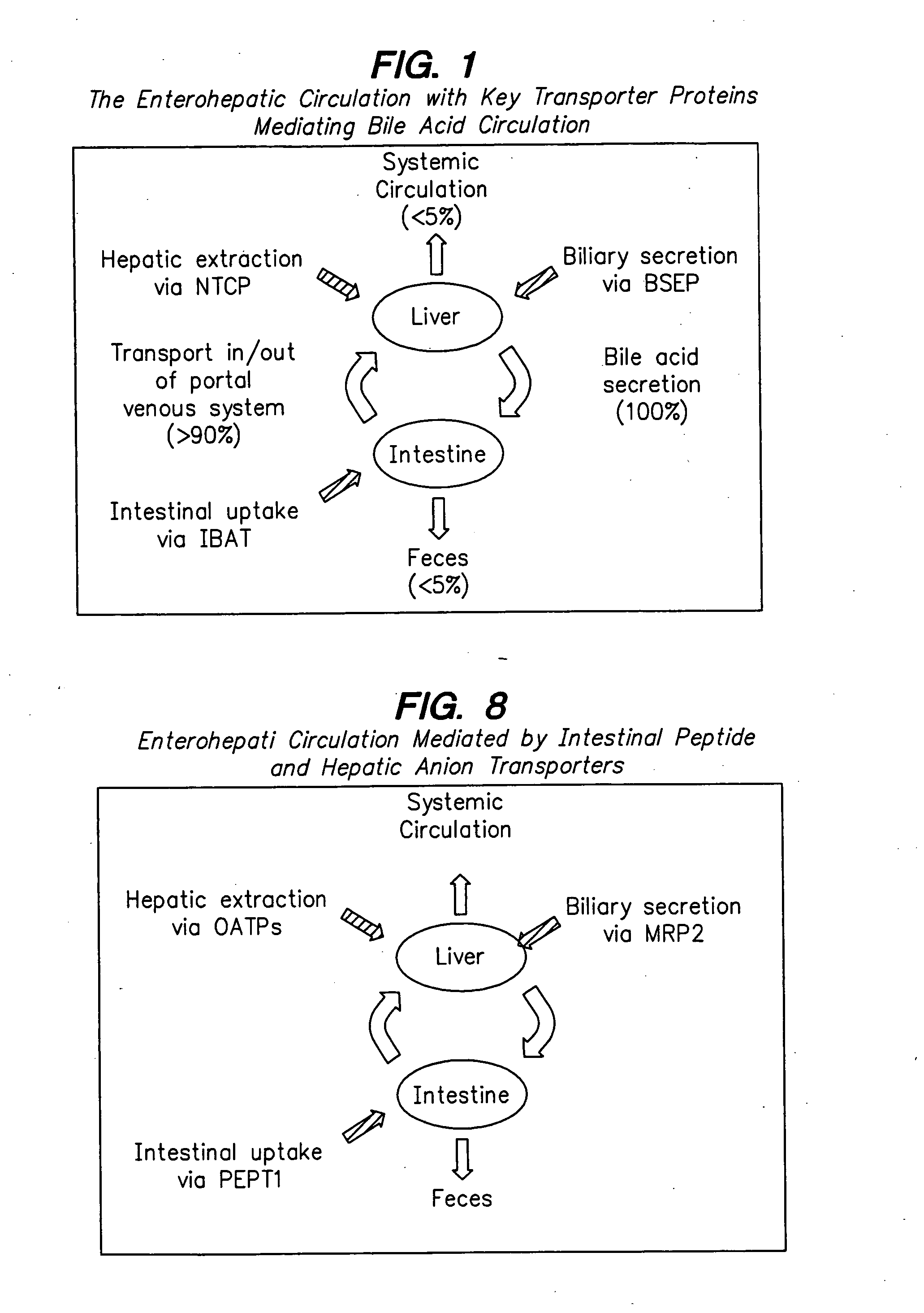 Compounds for sustained release of orally delivered drugs