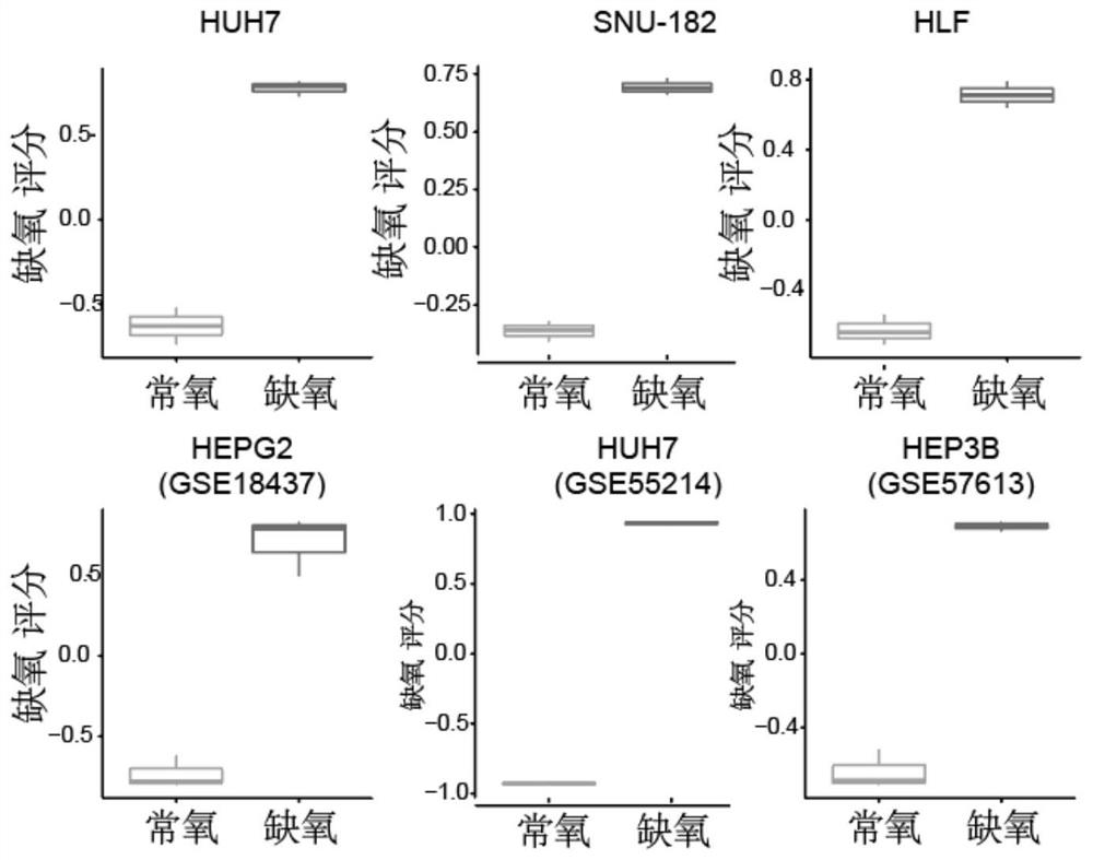 Hypoxia-related gene marker combination for hepatocellular carcinoma and application thereof