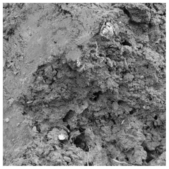 Soil image brightness controllable enhancement method based on weighted Gaussian subtraction fitting