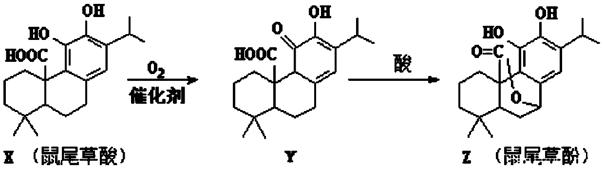 Method for extracting carnosic acid from Rosmarinus officinalis