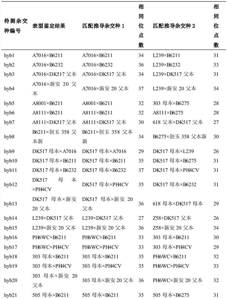 A method and indel molecular marker for traceable origin of maize mixed pollination hybrids