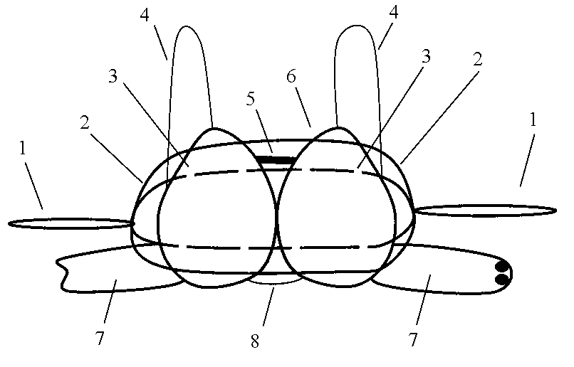 Simple massage brassieres