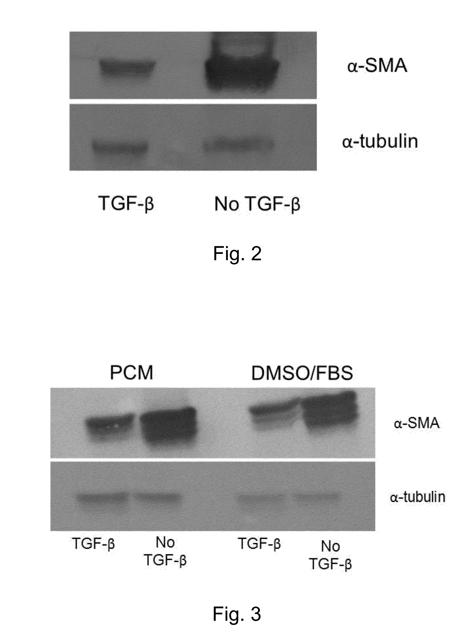 Cryopreservation tools and methods