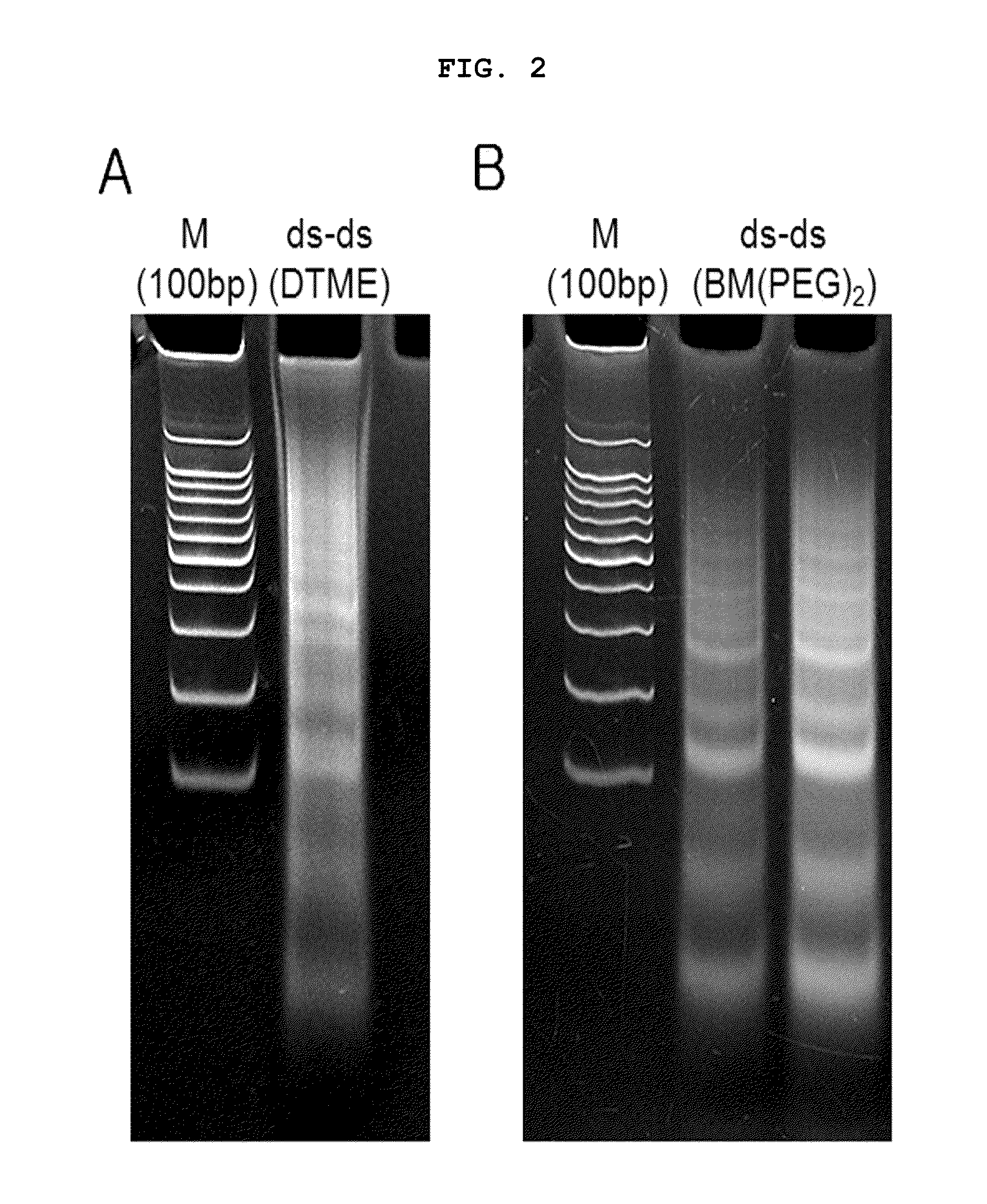 Multi-conjugate of sirna and preparing method thereof