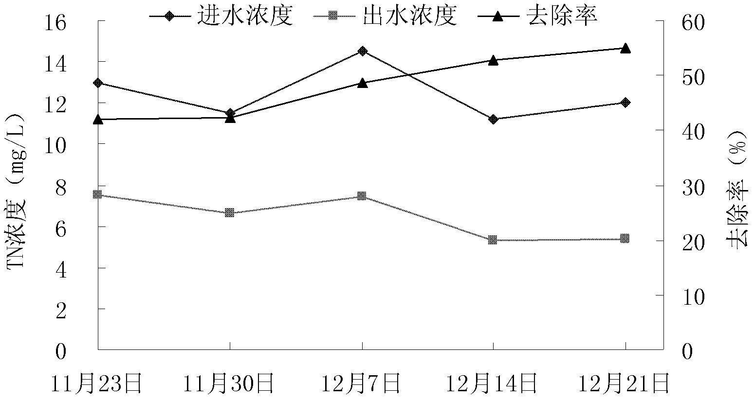 Application of Reineckia carnea in purifying livestock breeding biogas slurry