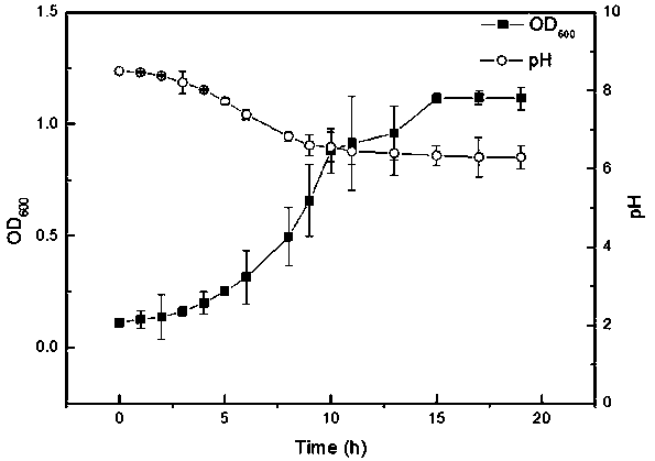 Methylophaga strain for online monitoring of heavy metals and application thereof