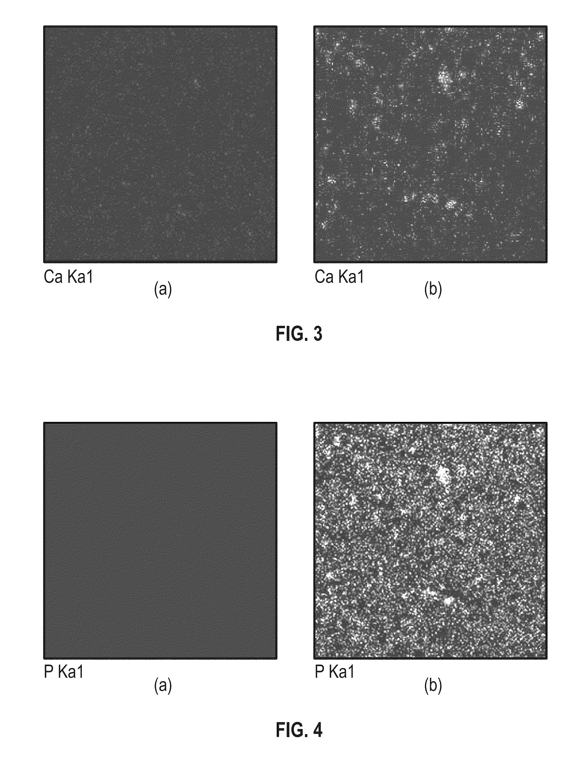 Nano-composite polymeric coating for the conservation of leathers and method for synthesizing the same