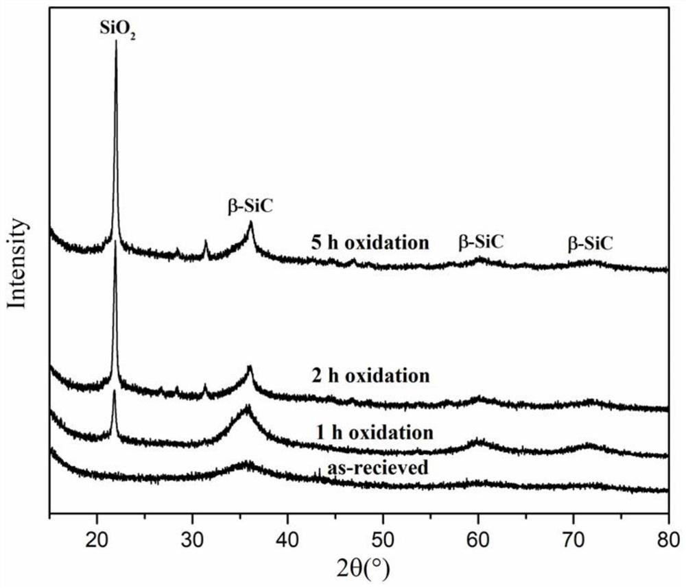 A kind of silicon carbide polymer precursor ceramic defect healing method