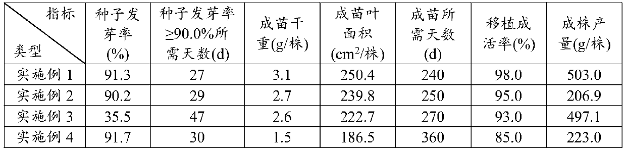 A kind of high-efficiency cultivation method of Tsaoguo seedlings