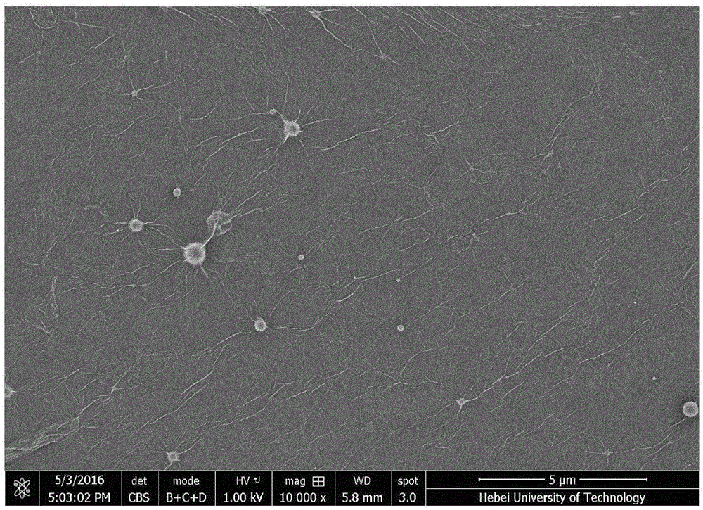 Stable-structure high-performance graphene oxide nanofiltration composite membrane and preparation method thereof