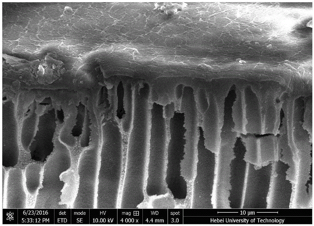 Stable-structure high-performance graphene oxide nanofiltration composite membrane and preparation method thereof