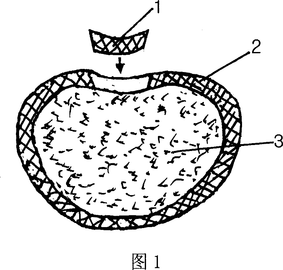 Production method of probiotic active melon and fruit ices