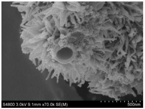 A kind of sea urchin-shaped double-shell hollow microsphere and its preparation method