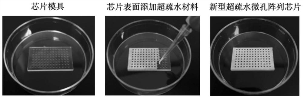 Method for preparing small-amount sample high-throughput chromatin co-immunoprecipitation sequencing sample