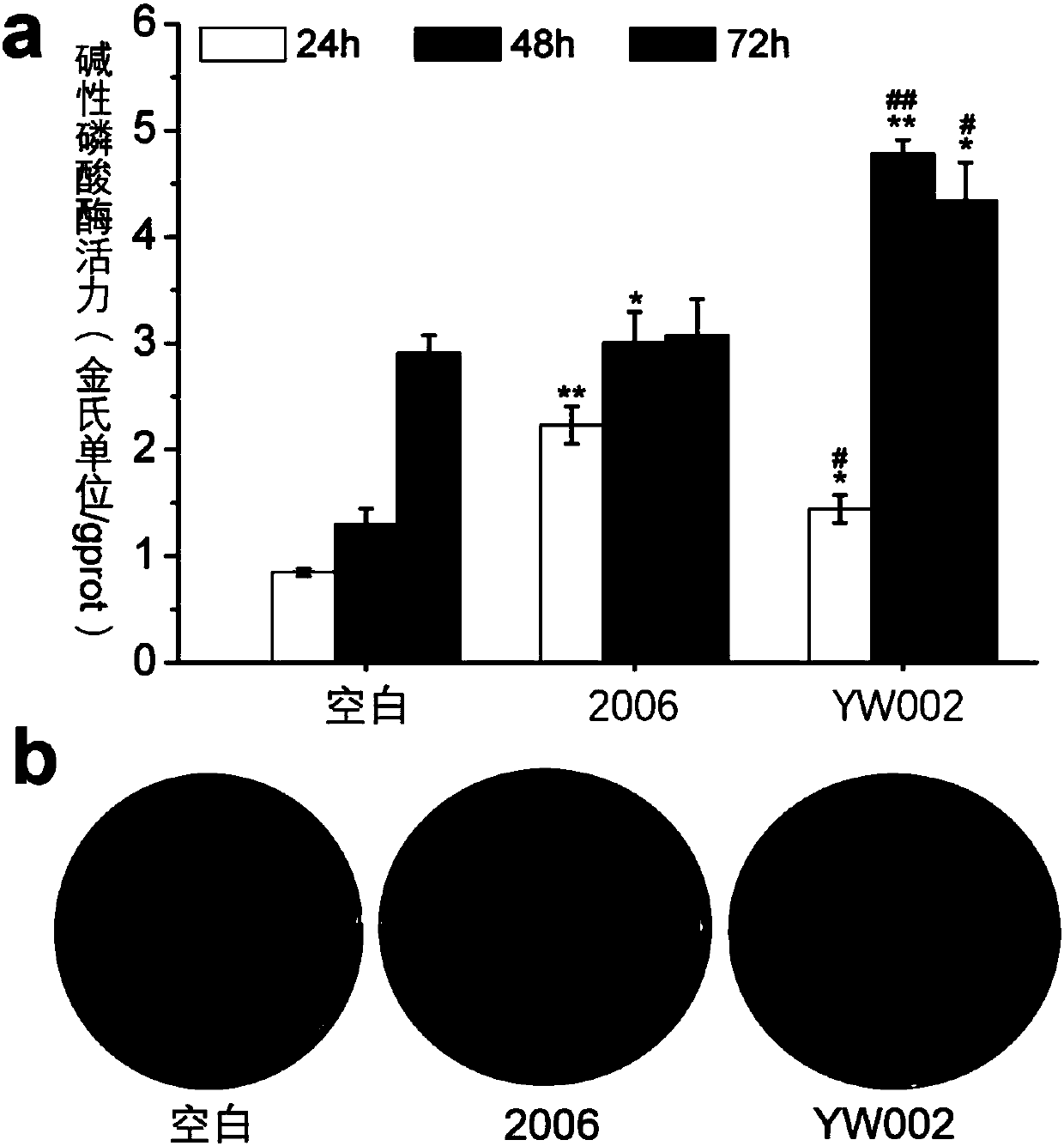 Application of oligonucleotide YW002 CpG ODN in preventing and treating periodontitis bone absorption