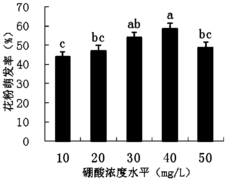 Culture medium for germination of tetraploid hemarthria compressa pollen