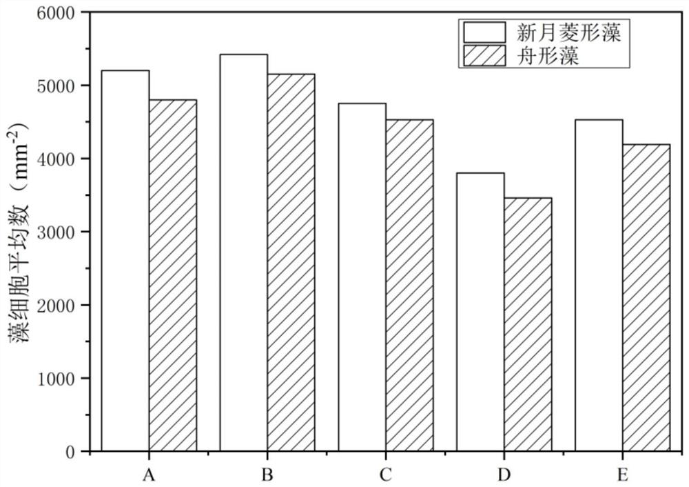 Copper-free antifouling paint for coastal oil and gas pipelines in static environment and preparation method of copper-free antifouling paint