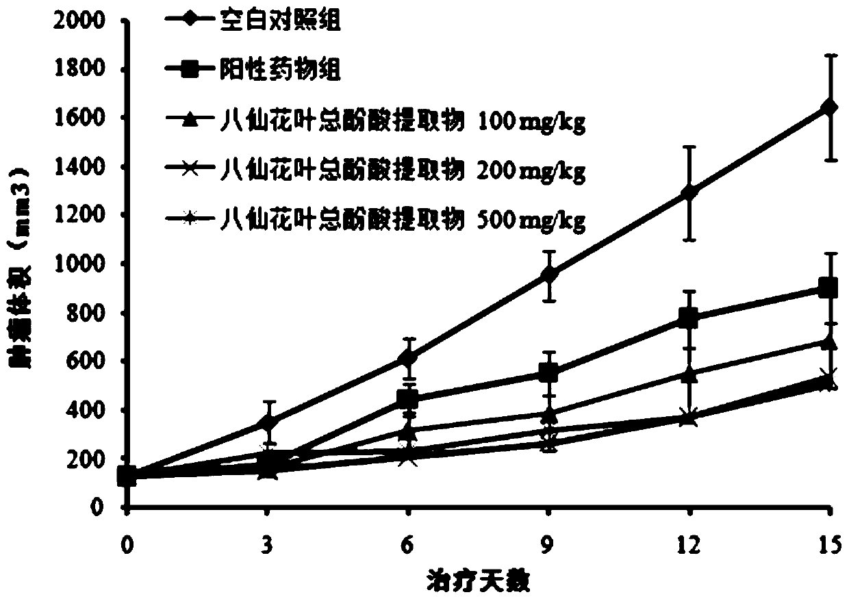 An eight immortal flower leaf extract and its drug composition, preparation method and application