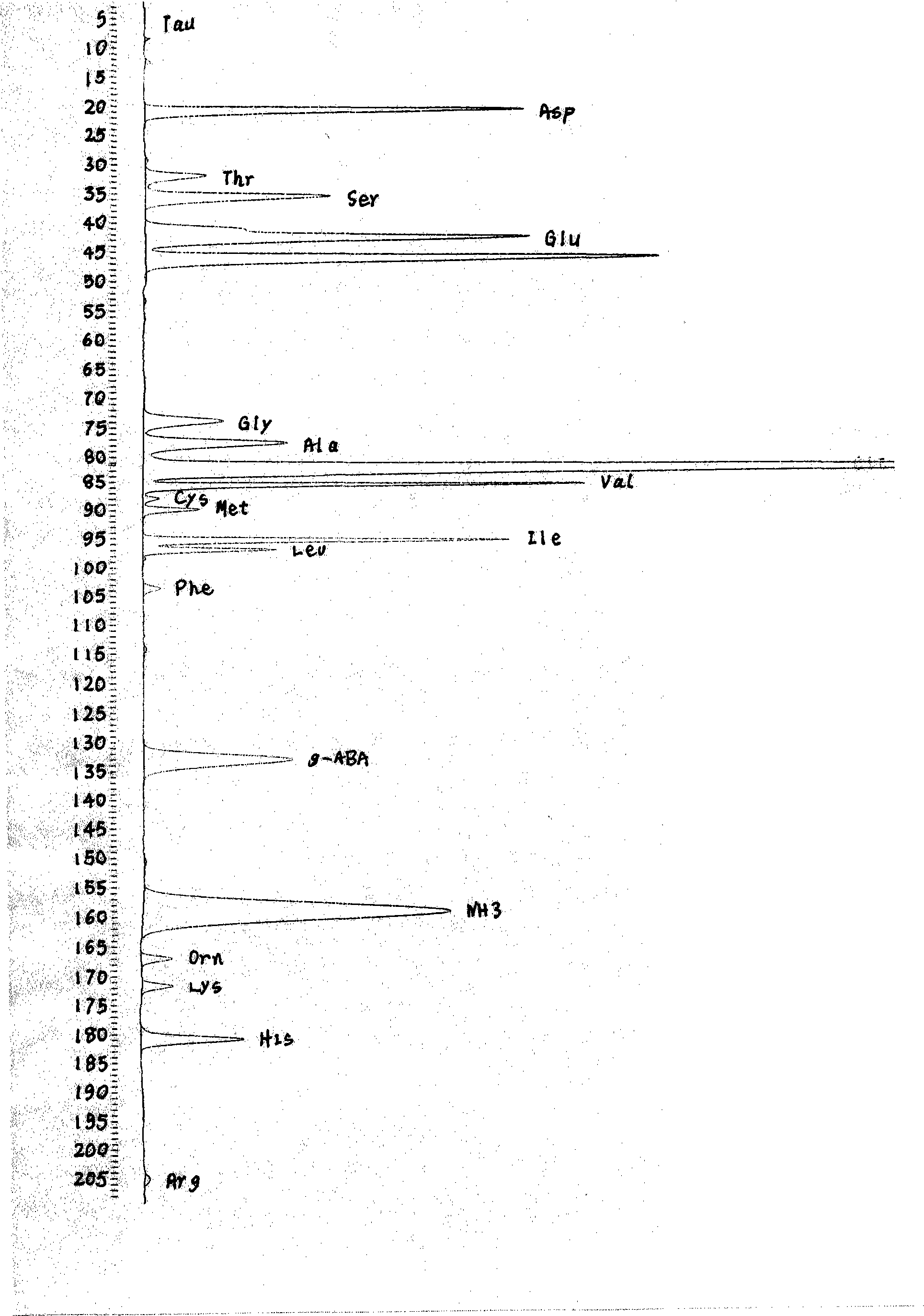Method for extracting composite aminoacid from water melon or black seed melon