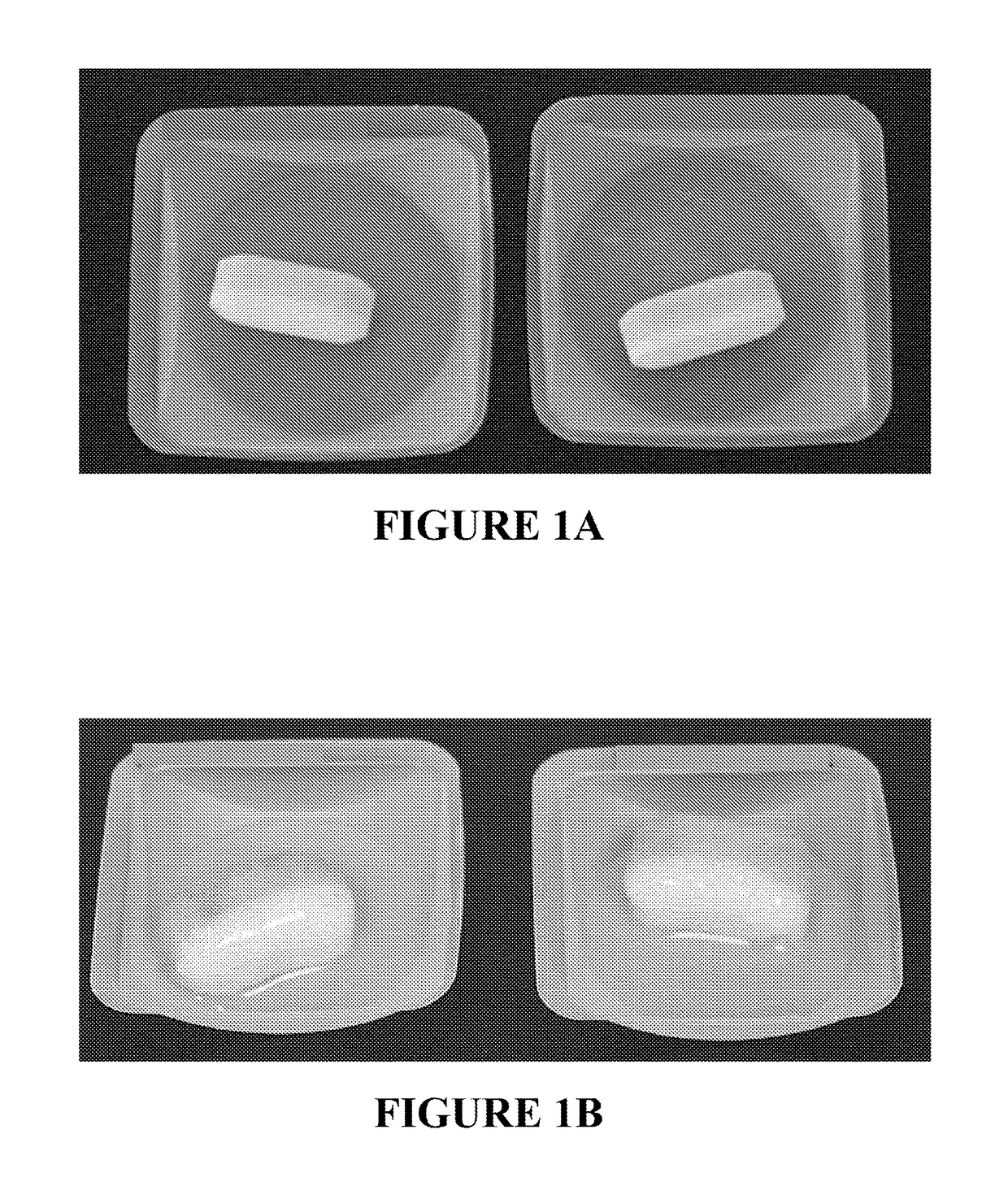 Bi-layer dual release probiotic tablets