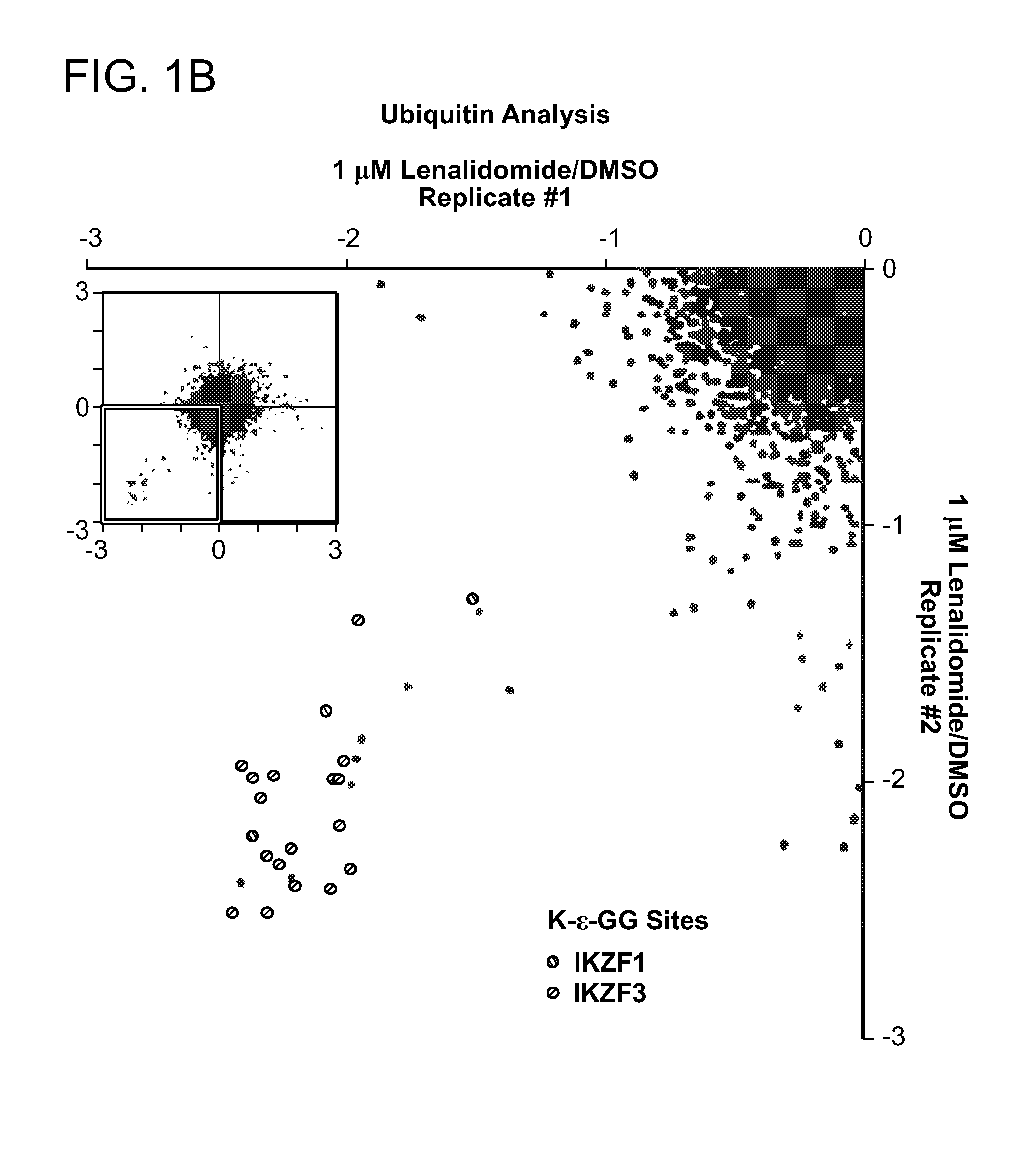 Compositions and methods for selecting a treatment for b-cell neoplasias