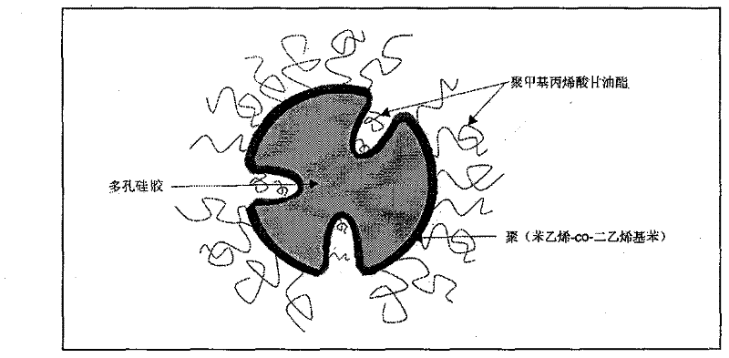 Restricted access poly (styrene-co-divinyl benzene)-coated silica gel chromatographic packing and preparation method thereof