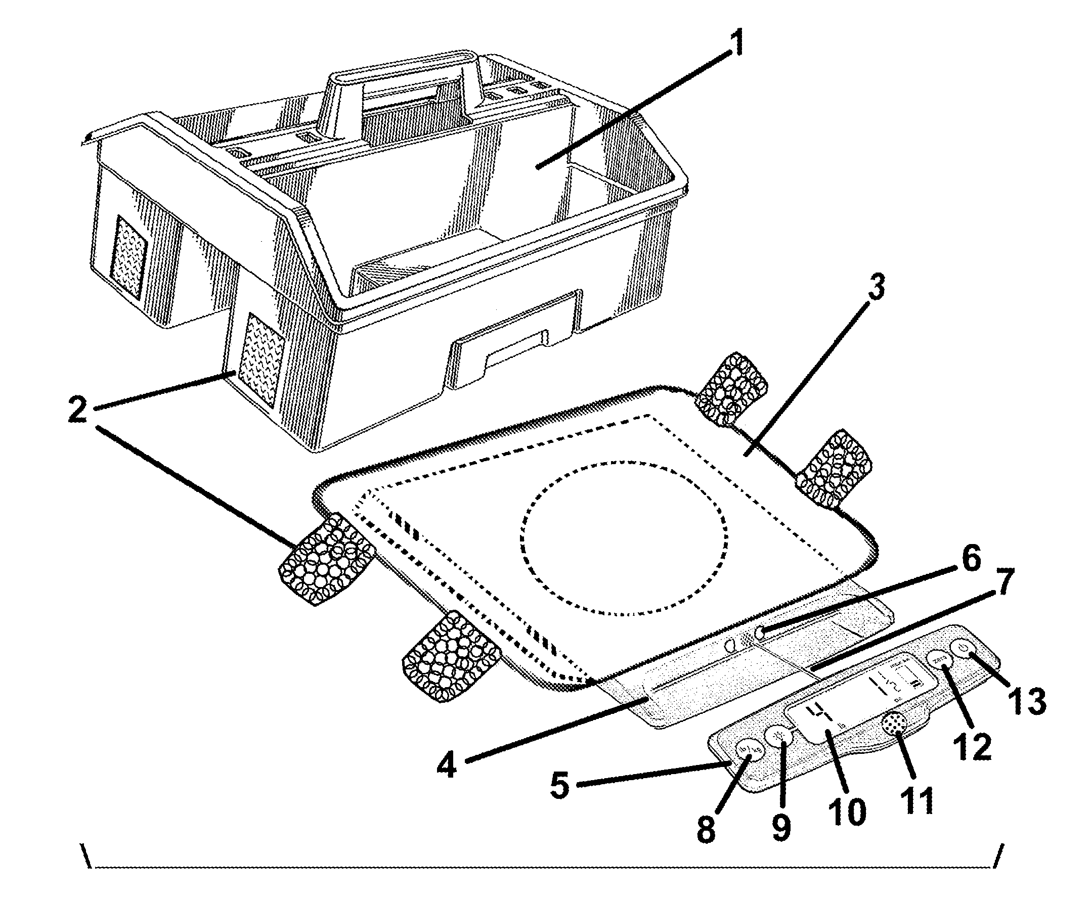 Portable memory scale with interchangeable tool carrier