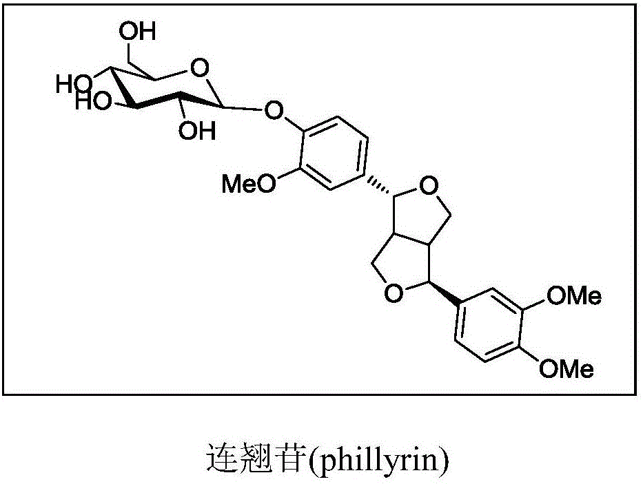Application of phillyrin, phillyrin derivatives, and phillyrin-phillygenin composition in preparation of drugs for prevention or/and treatment of liver injury