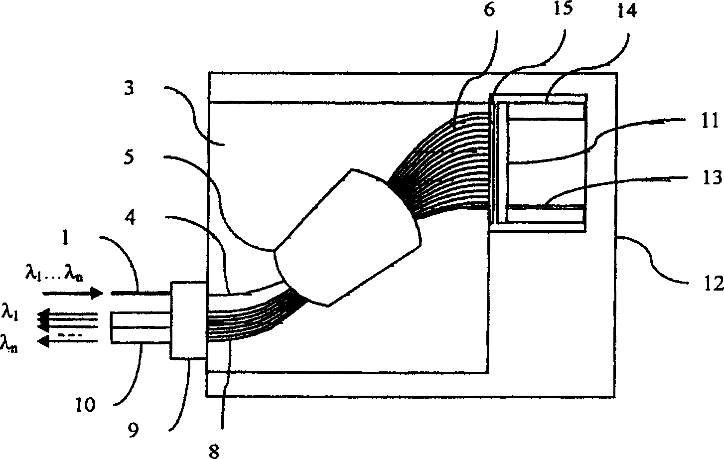 Array waveguide raster for splitting optical signals of multiple wavelength channels in space