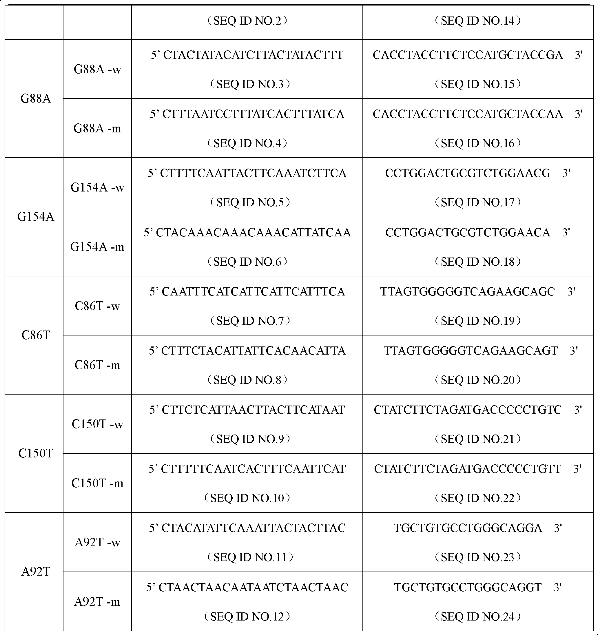 ABCB2 gene polymorphism detection specific primers and liquid chip