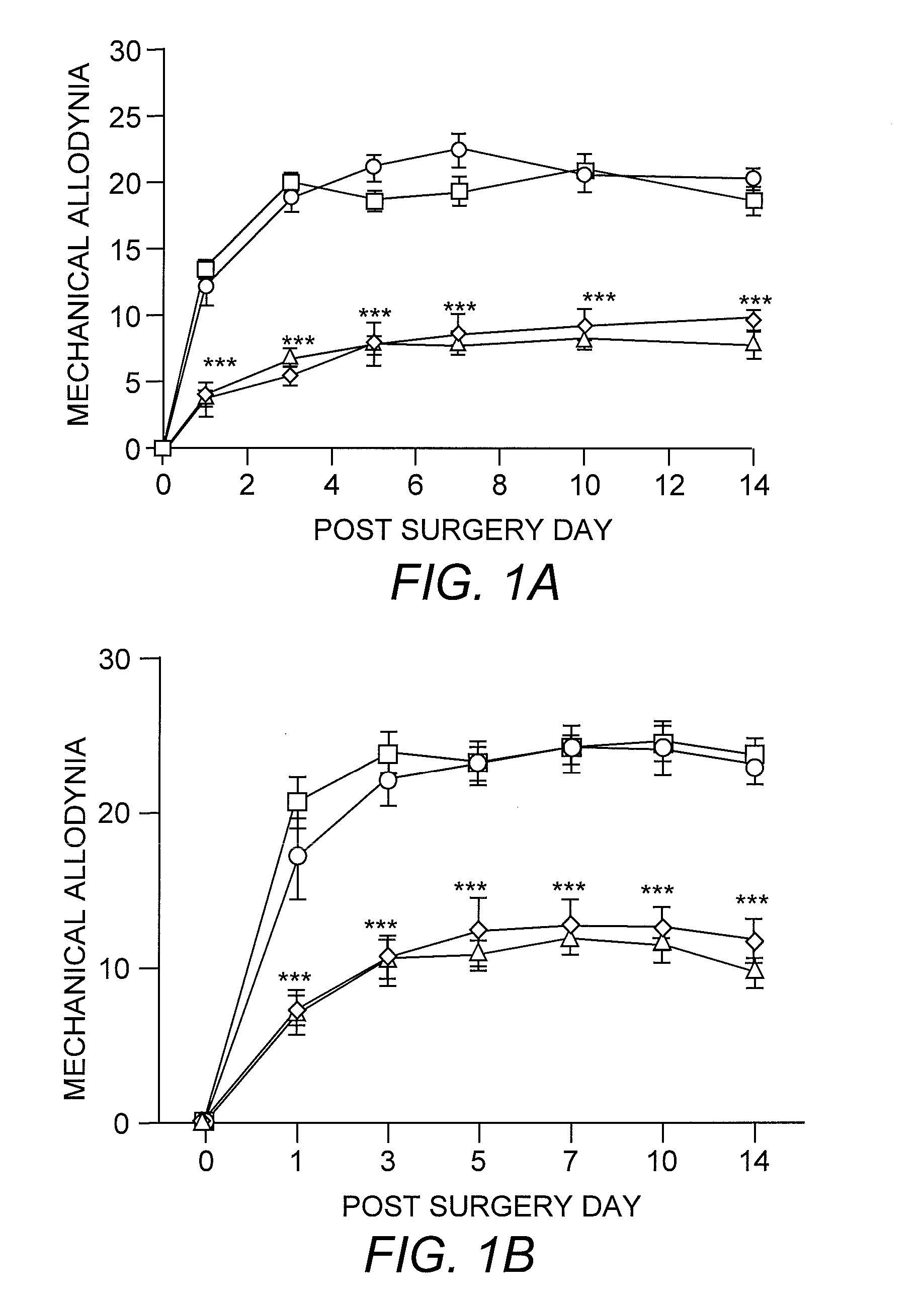 Method for preventing or treating neuropathic pain