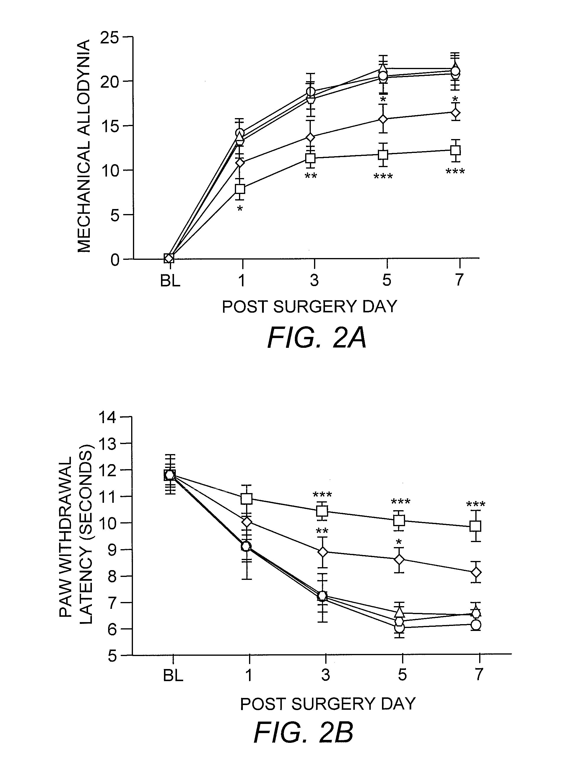 Method for preventing or treating neuropathic pain